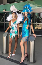 Rio Carnival 
